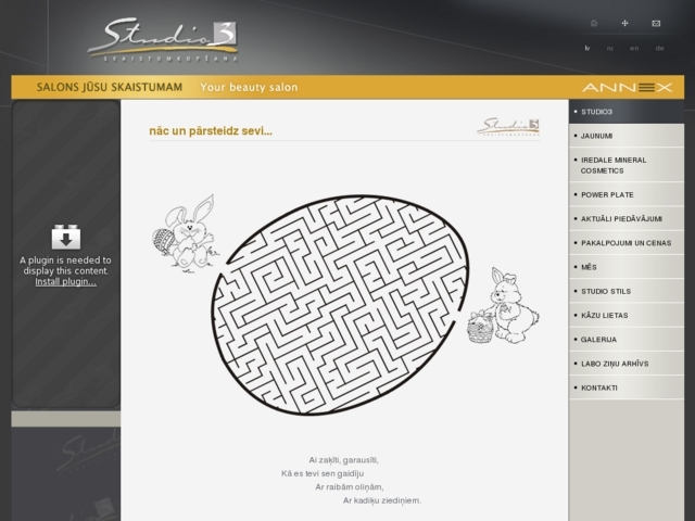 LCN Studio mācību centrs, Annex, SIA